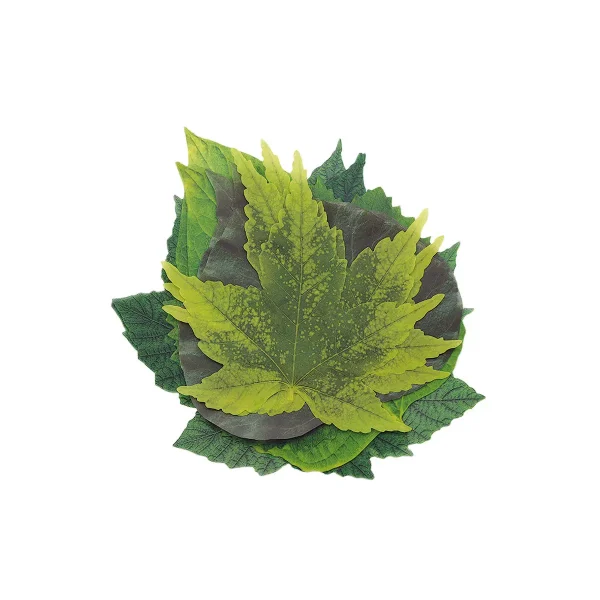 elegant spring french cheese l 0 1752848101 - DIVERSTIMENTI