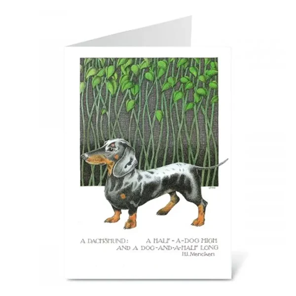 Funny Dachshund Birthday Card by Simon Drew funny dachshund birthday card 0 1752847020 - DIVERSTIMENTI