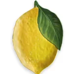 lemon print xl serving platter 0 1752847837 - DIVERSTIMENTI