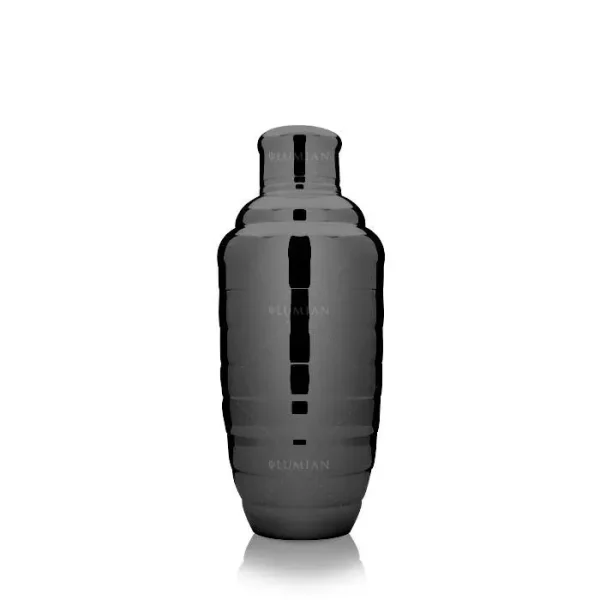 Lumian 500ml Leak-Proof Stainless Steel Cocktail Shaker Black lumian 500ml leak proof stainl 0 1752847709 - DIVERSTIMENTI