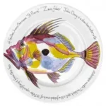 richard bramble john dory 30cm 0 1752847346 - DIVERSTIMENTI
